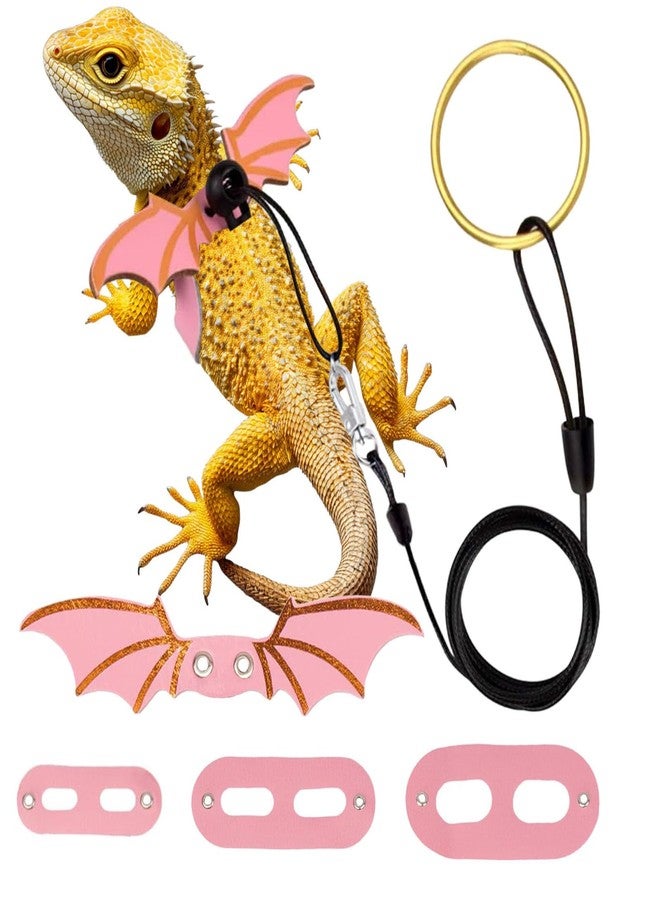 KYLELOVE Lizard Harness and Leash-3 Size Pack Bearded Dragon Leather Dinosaur Wing Harness Reptile Leash Set for Safety Walking Costume Indoor Outdoor - Image 1